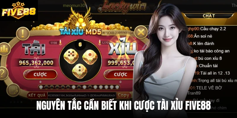 Nguyên tắc cần biết khi cược Tài xỉu Five88